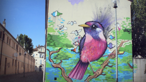murales a bologna mostrami
