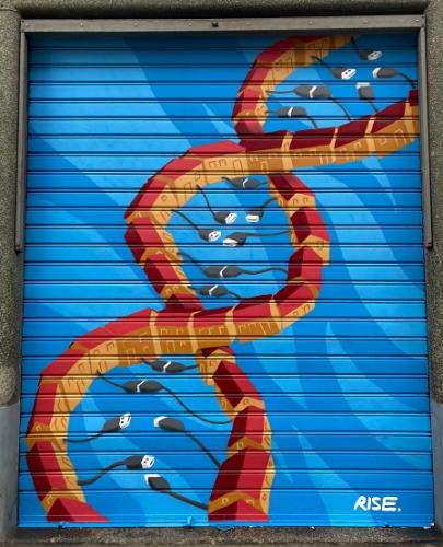 Saracinesca-DNA-streetart-murales-milano