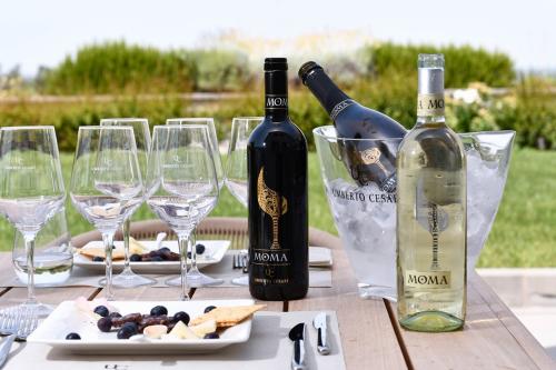 call artistica bando concorso artistico Mostrami e Umberto Cesari azienda vino MOMA experience