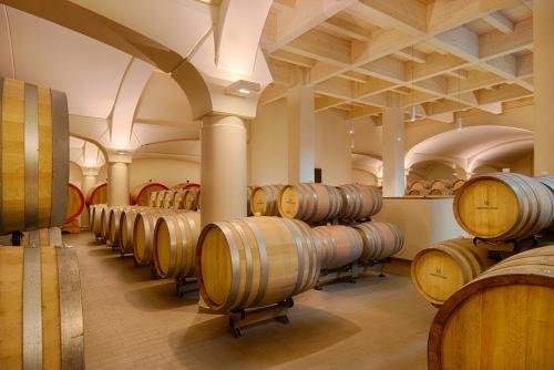 call artistica bando concorso artistico Mostrami e Umberto Cesari azienda vino bottaia