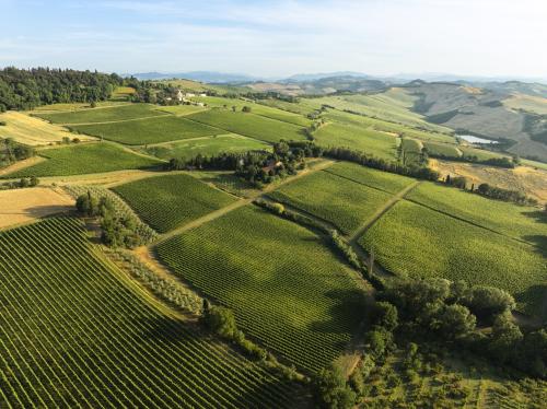 call artistica bando concorso artistico Mostrami e Umberto Cesari azienda vino terreno
