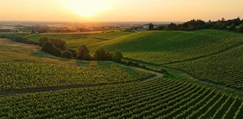 call artistica bando concorso artistico Mostrami e Umberto Cesari azienda vino